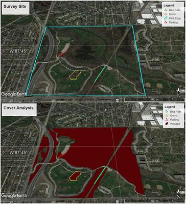 Edge Growth Form of European Buckthorn Increases Isoprene Emissions From Urban Forests